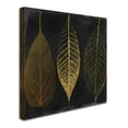 thumbnail image 3 of Trademark Fine Art "Fallen Gold I" Canvas Art by Color Bakery, 3 of 4