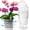 Clear Orchid Pots, variant on Tekola Orchid Pot, 6 Pack 6.3 Inch Orchid Pots with Holes and Saucers, Clear Orchid Pots for Repotting, Plastic Flower Plant Pot for Indoor Outdoor Plants, Slotted Orchids Planter for Root Health