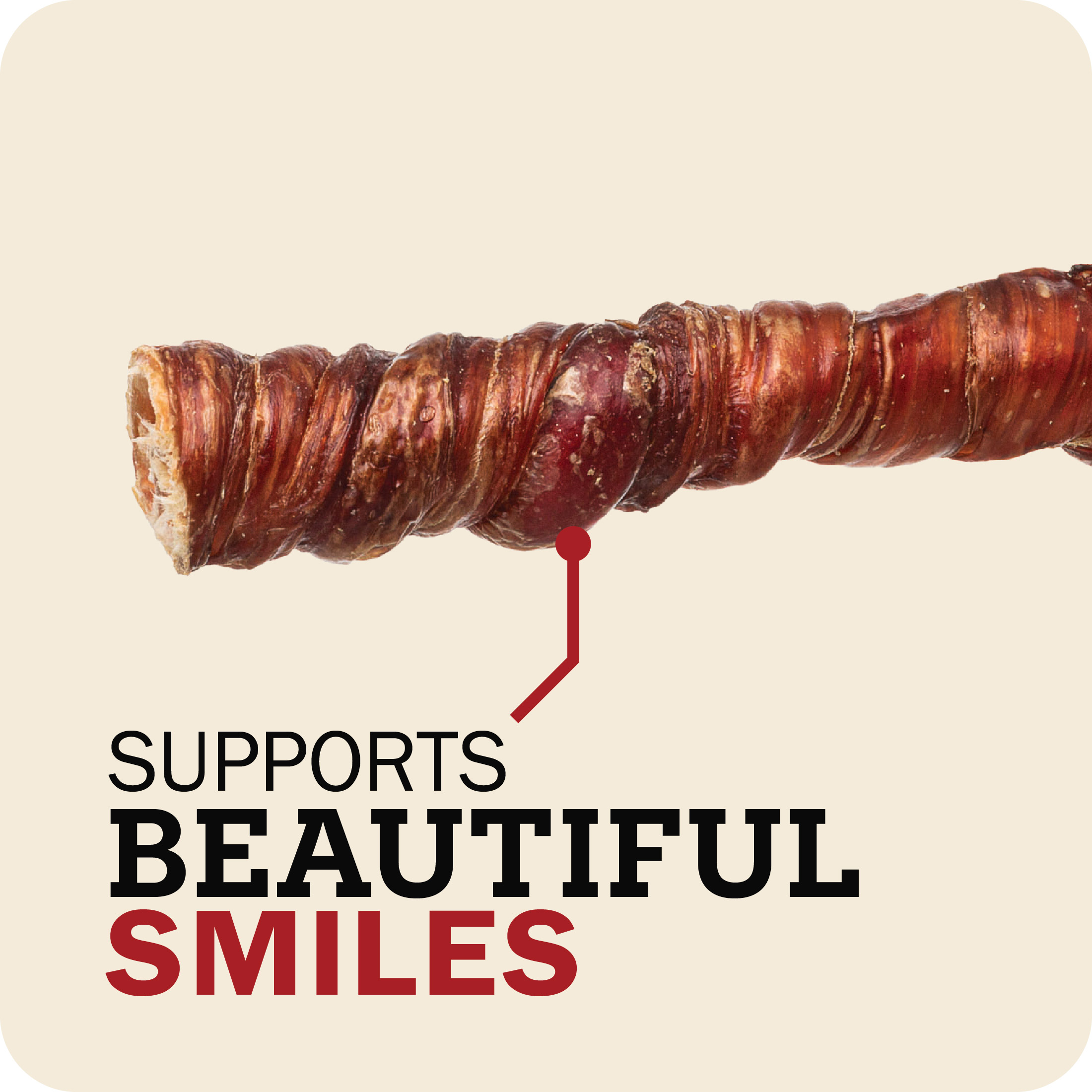 Redbarn Bully Twists Dog Chews, 5-Count photo 5