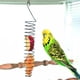 thumbnail image 3 of Bird feeder, feeder, simulate natural fodder, hamster feeder, stainless steel parrot feeder, 3 of 5