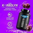 thumbnail image 3 of EFX Sports Karbolyn Fuel | Fast-Absorbing Carbohydrate Powder | Carb Load, Sustained Energy, Quick Recovery | Stimulant Free | 37 Servings (Grape), 3 of 5