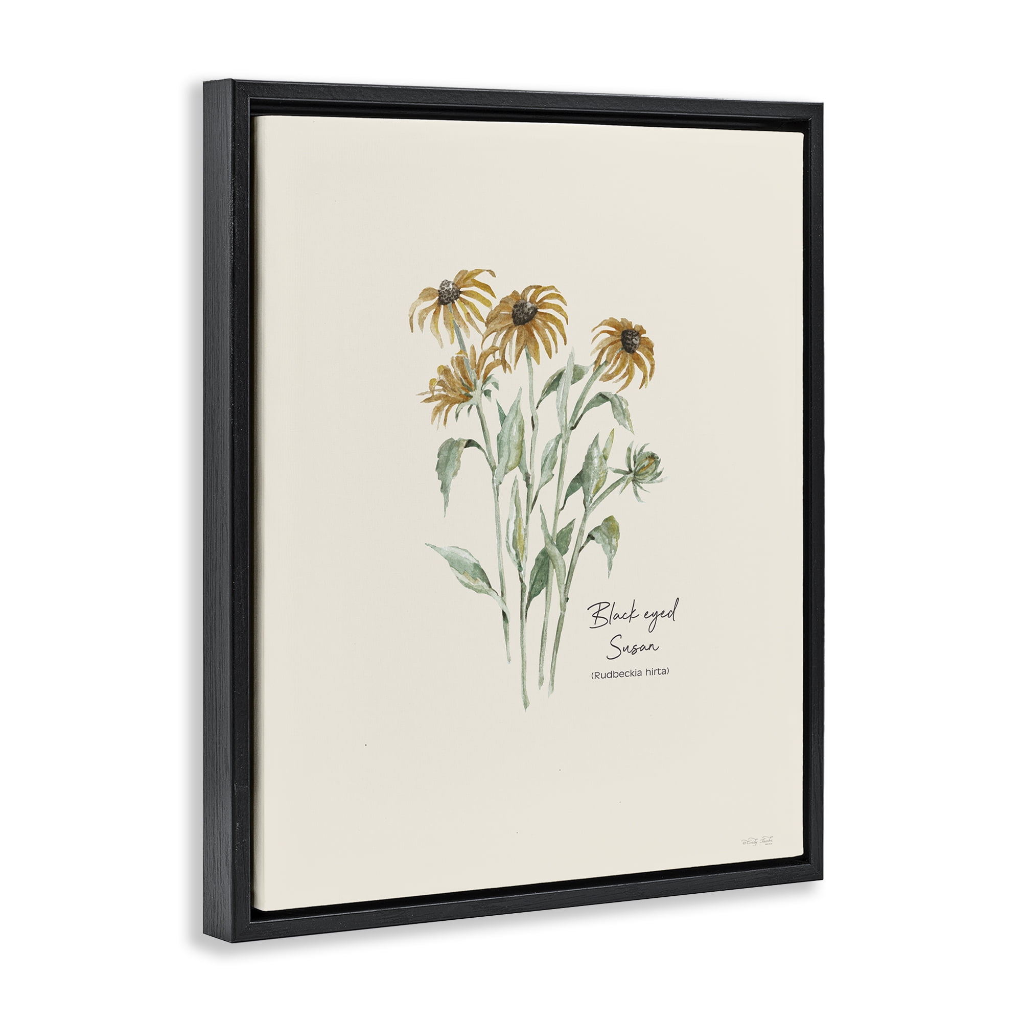 Stupell Industries Black Eyed Susans Botanical & Floral Painting Black Floater Framed Art Print Wall Art, 25 x 31