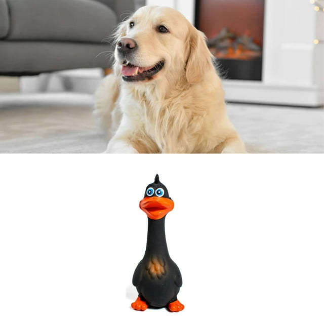 Juguete para perros, juguetes de pollo de látex para morder, juguetes de pollo de látex, juguetes para perros chirriantes de pollo de látex optimizados para la excelencia Jadeshay A