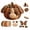 A #37, variant on DIY Woodland Animal Pumpkin Sewing Kit for Adults,Complete Fall Craft Supplies Set,Handmade Woodland Pumpkin Decor Project for Holiday Home Displays C
