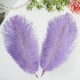 thumbnail image 4 of Namzi Ostrich Feathers, 24 Pcs 25-30cm Purple Feathers Ideal for Wedding Centerpiece, Table Decor Vase Fillers, 4 of 5