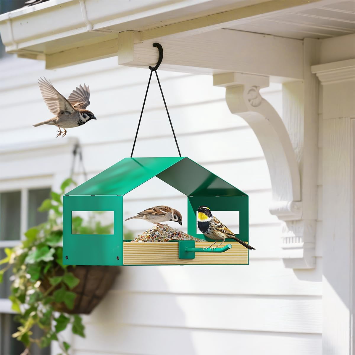 FANHAO Metal Bird Feeder for Outdoors Hanging, Wild Bird Feeder with Rust-Resistant Mesh, Weatherproof