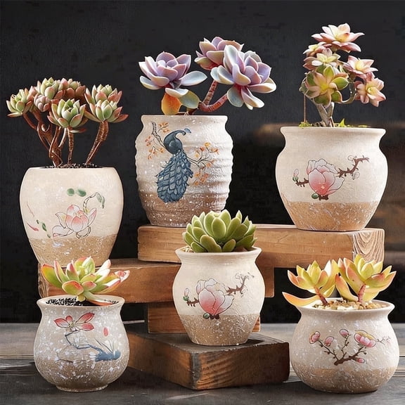 Set of 6 Mixed-Shaped Rustic Pottery Ceramic Succulent Plant Pots