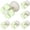 Green 5 Pcs, variant on Cable Clips, Cord Holder, Flower Cable Organizer, Beautiful Flower Shaped Cable Clips, Adhesive Cord Clips, Desk Cable Management Wire Holder for Headphones, Chargers, and USB Cables,Green 5 Pcs