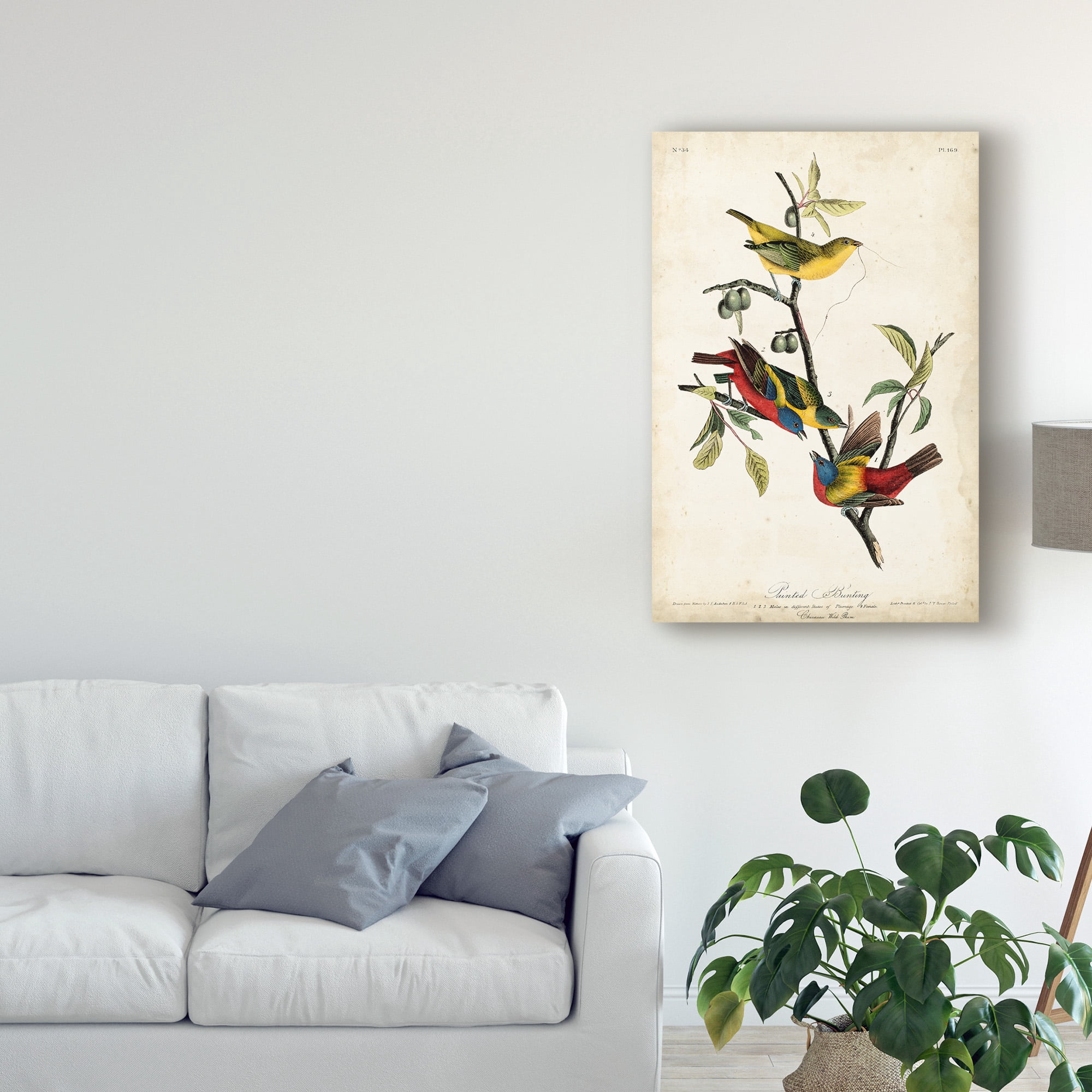 Trademark Fine Art 'Painted Bunting Red' Canvas Art by John James Audubon