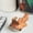 E, variant on Ocean Mini Resin Animals Figures,Handmade Whales Figurine,Tiny Sea Creatures Figurines to doubles as a paint brush or pen Bracket