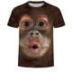 thumbnail image 1 of Verano nueva moda streetwear camiseta 3D camiseta hombres camisetas gráficas personalizadas Sincero  Hogar, 1 of 4