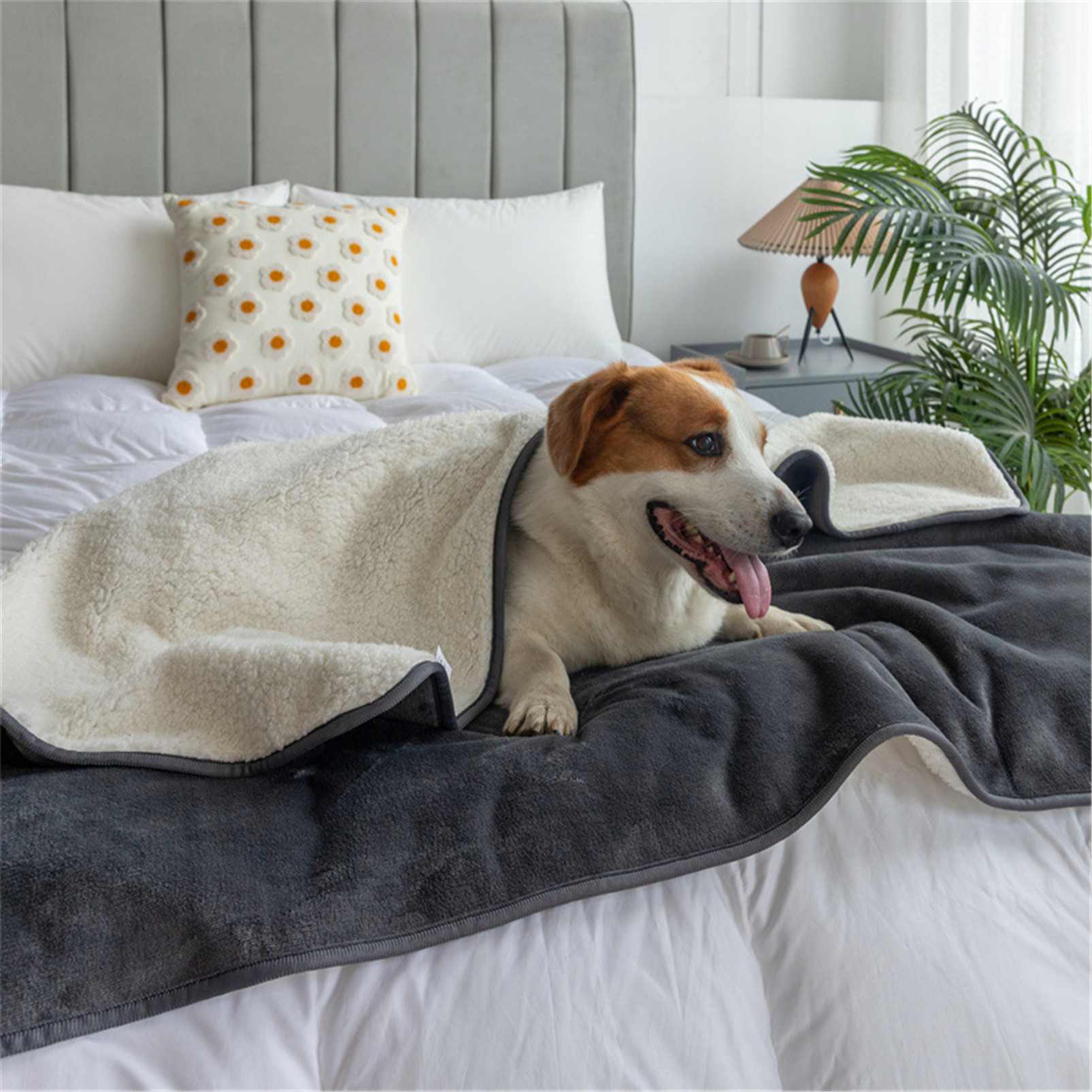 100% Dog Bed Cover Waterproof Pet Blanket Sofa Couch Furniture Protector Car Bed from Spills Stains for Dog and Cat Blankets (Size-L: 150cm-L x 127cm-W)