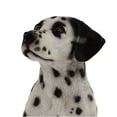 thumbnail image 5 of 20.5" Sitting Dalmatian Outdoor Garden Statue, 5 of 6
