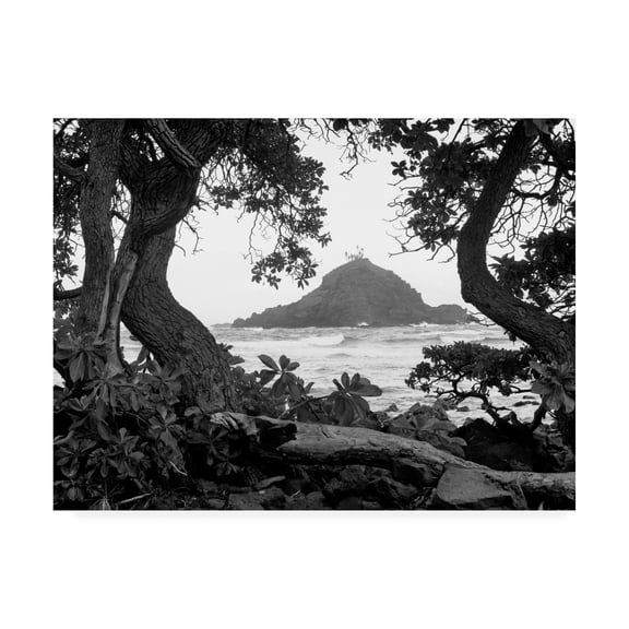 Trademark Fine Art 'Long Hanna Drive Maui Hawaii' Canvas Art by Monte Nagler