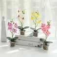 thumbnail image 5 of 2025 Latest Model Artificial Phalaenopsis potted plant simulation flower pot fake orchid d, 5 of 5
