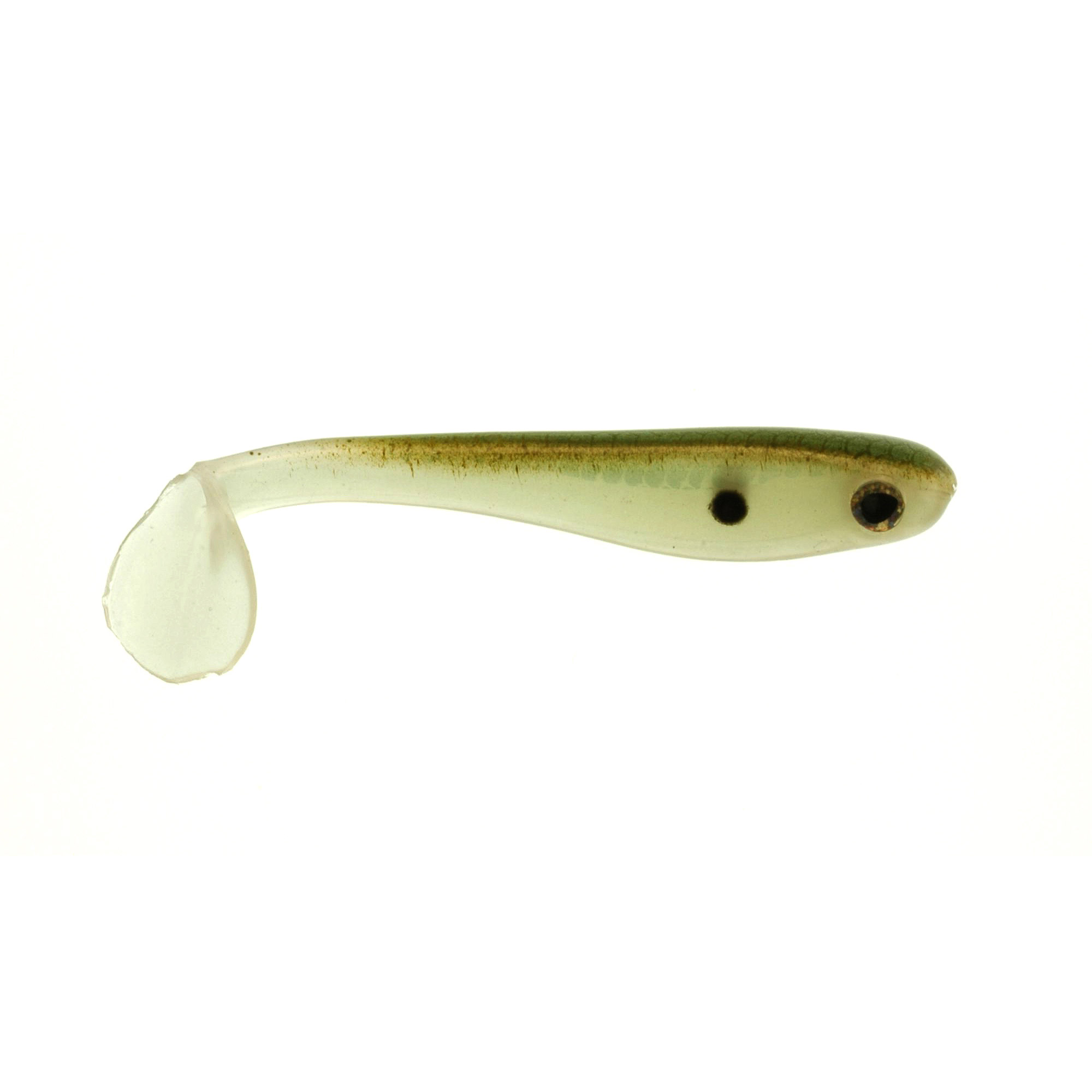swimbait shop