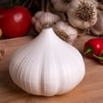 thumbnail image 5 of Gourmac Garlic Saver, 5 of 5