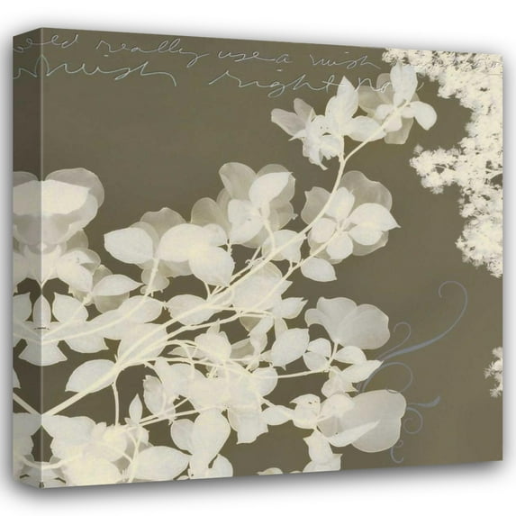 Amy Melious 15x15 Gallery Wrapped Canvas Wall Art Titled - Wishes and Leaves I