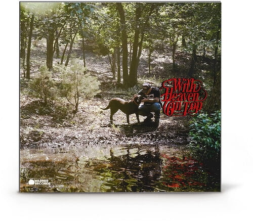 Zac Brown Band - Love And Fear - CD - Walmart.com