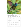 thumbnail image 4 of Hummingbirds 2027 7x14" (Hanging) Mini Wall Calendar | Foil Stamped Cover | Plato, 4 of 9