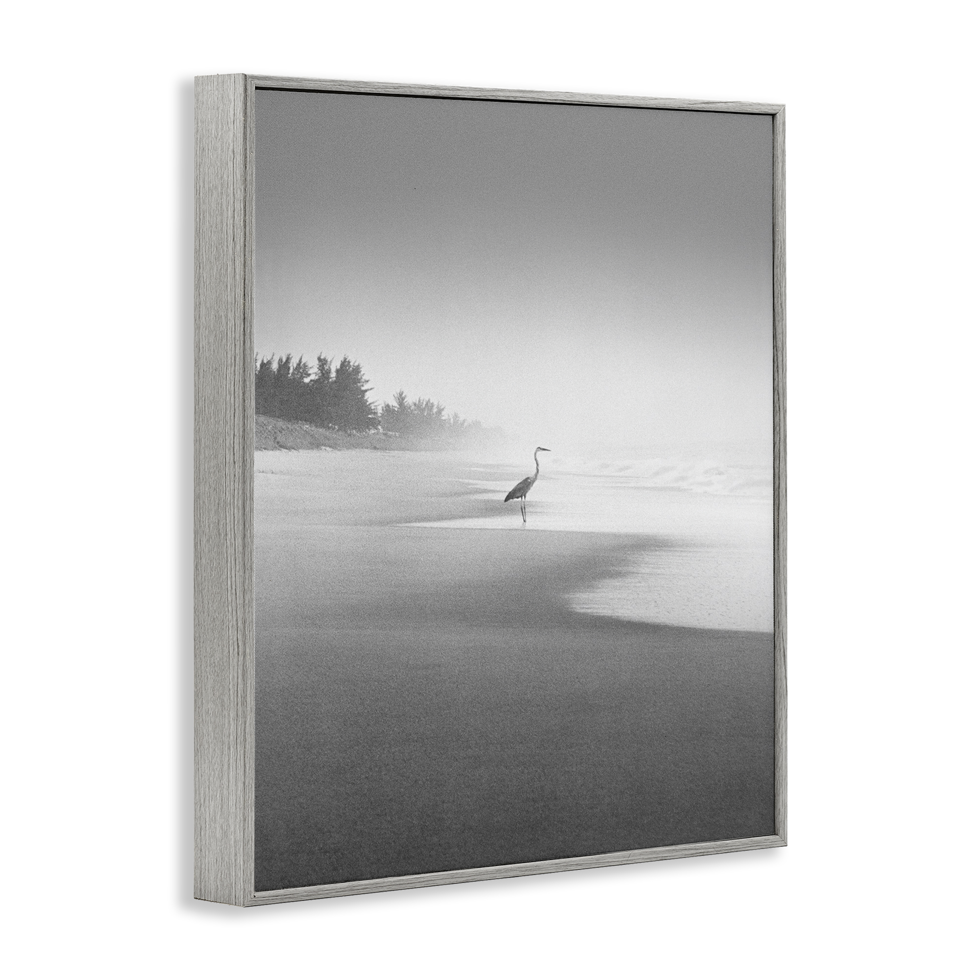 Stupell Industries Heron on Beach Coast Coastal Photography Gray Framed Art Print Wall Art, 16 x 20