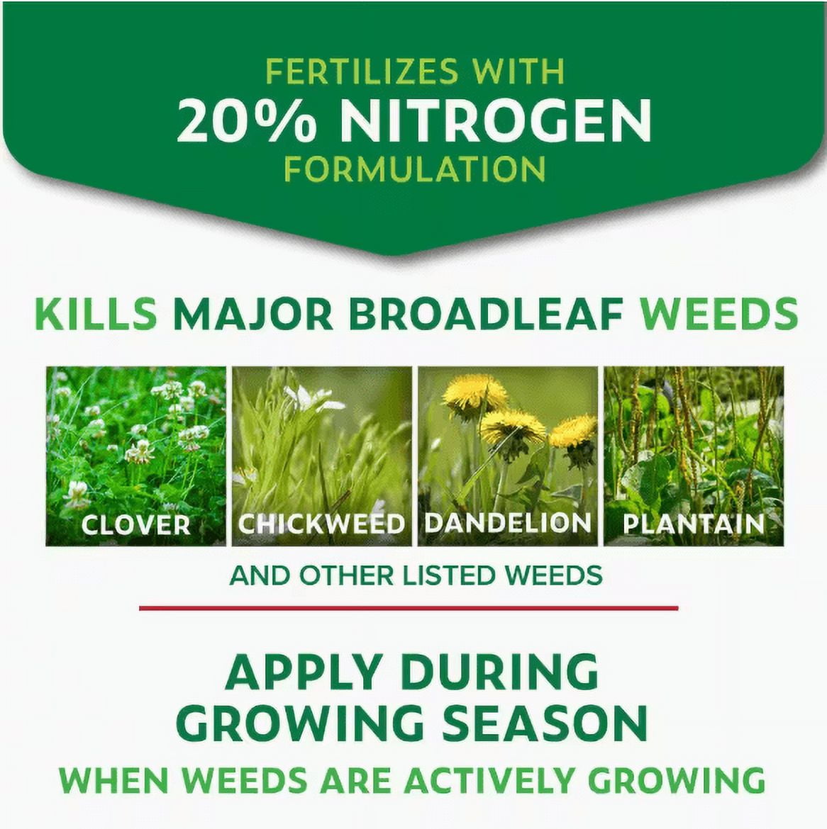 32 oz. 7,500 sq. ft. Spring Ready-to-Spray Concentrate Weed and Feed Lawn Fertilizer