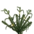 thumbnail image 3 of Vickerman JK255063LEDCC 6 ft. x 33 in. Norfolk Pine 3 mm 250CC Christmas Tree, 3 of 9