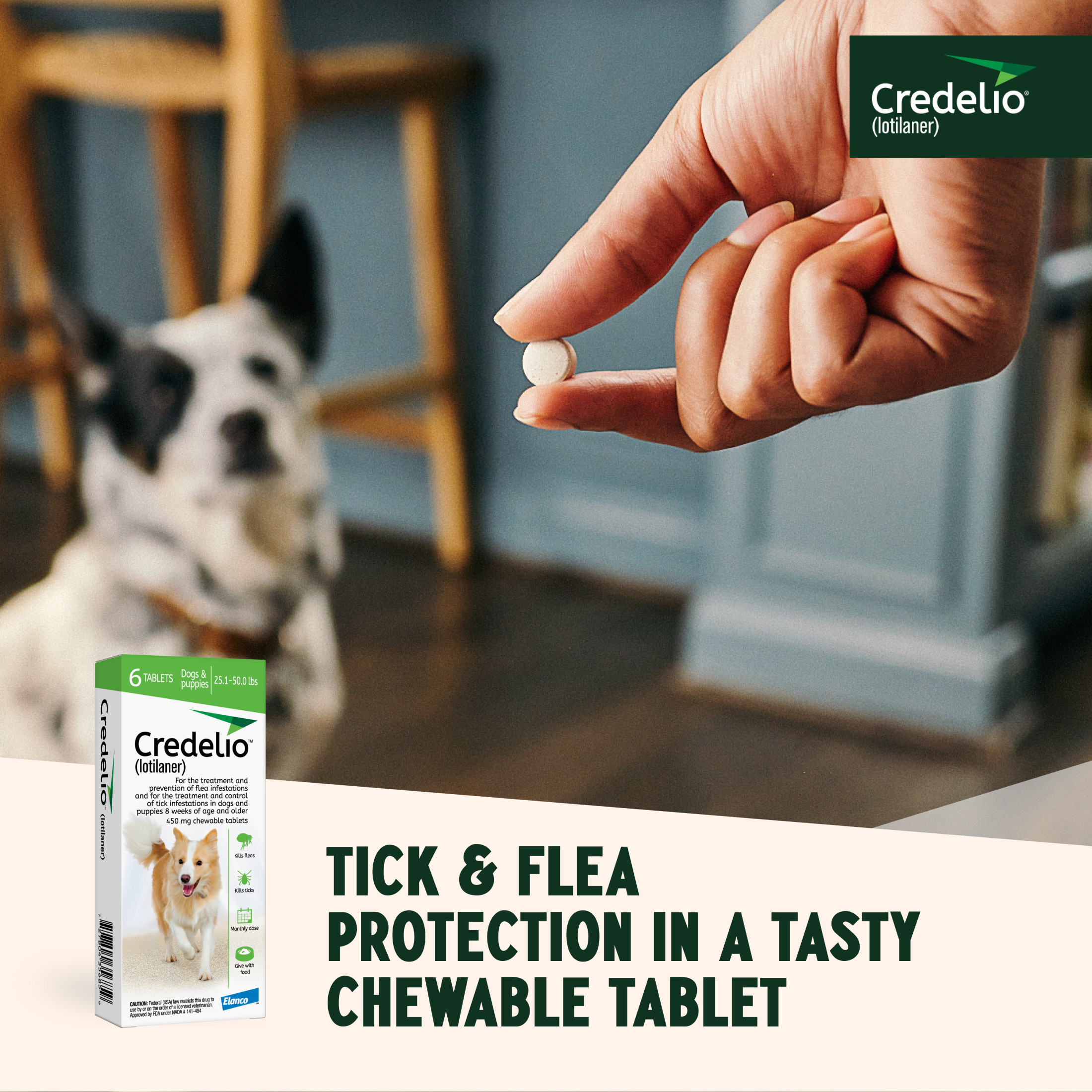 Credelio (lotilaner) Tick & Flea Treatment + Flea Infestation Protection for Dogs 25.1-50.0 lbs. (6 Tablets)