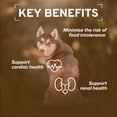 thumbnail image 5 of Renal Wet Dog Food for Kidney Support, Lamb Flavor, 3.5 oz, 4 Pack, 5 of 13