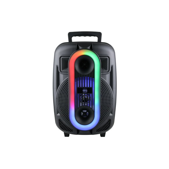 Bocina Amplificada 8 Pulgadas Control Expert TWS Bluetooth Radio FM 20W