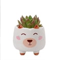 thumbnail image 1 of Flowerpots with Dish Ceramic, Animal Pot Ceramic Succulent Plant Pot Cactus Potted Planting Bonsai Pots Set, Flower Pots, 1 of 5