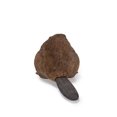thumbnail image 5 of Animal Statue-American Beaver Cub, Garden Statue, Garden Decoration, Home Decor, 5 of 5