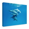 thumbnail image 3 of Canvas Wall Art - Serge Melesan 'Familly' Wall Art for Living Room, Bedroom, or Office Décor by Trademark Fine Art - 19 x 14 Inches, 3 of 4