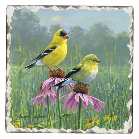 

CounterArt Style 2 Goldfinch 1 Pack Single Absorbent Stone Tumbled Tile Coaster 4 Square