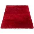 thumbnail image 4 of ECARPET Lotus Mod Red Shag 4'0" x 5'7", 4 of 9