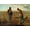 Unframed, variant on Art.com The Angelus Art Print by Jean-Fran?ois Millet, 16" x 12"