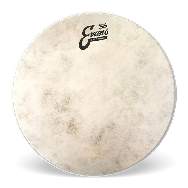 Tom Drumhead Evans Calftone de 8 pulgadas