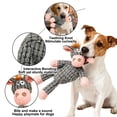 thumbnail image 4 of BotaniNest 2 In 1 Indestructible Interactive For With Squeaker Multifunctional Made Of Soft Dogs, 4 of 5