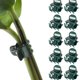 thumbnail image 3 of Monstrate Cierre de tallo de vid trepadora de construcción duradera para soporte duradero Clips de plantas de color verde oscuro de 6 garras Jardín y Patio verde 100 piezas, 3 of 6