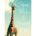 thumbnail image 3 of Bryant, Susan 14x18 Black Modern Framed Museum Art Print Titled - Stand Tall And Dream Big, 3 of 5