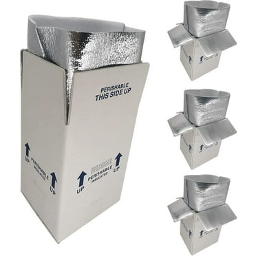 CH-BOX Insulated Carton Shipping Box Mailer with Aluminum Foil Foam Bag Liner, 4 Pack 7'' x 6'' x 10'' Small Perishable Shipper to Ship Mail Food, Frozen Breast Milk, White (TB7610L-4)