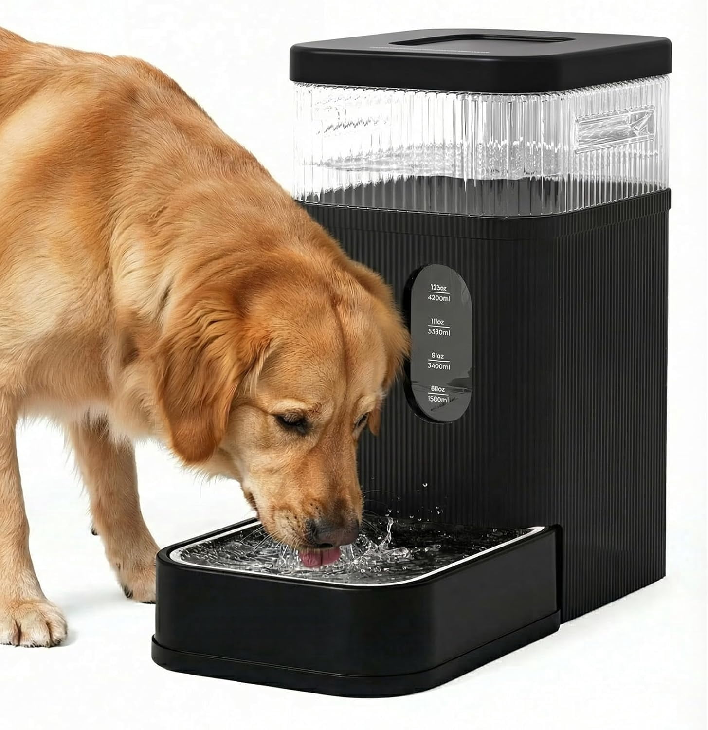 2.2 Gallon Automatic Dog & Cat Water Dispenser – 8.5L Gravity Feeder with Stainless Steel Bowl & Maifan Stone Filter, BPA-Free, Indoor Pet Hydration, Black