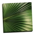 thumbnail image 2 of Gango Home Decor Contemporary Nature Up-Close IV by Monika Burkhart (Ready to Hang); One 24x24in Hand-Stretched Canvas, 2 of 4