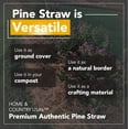 thumbnail image 5 of Premium Pine Straw Mulch Bale for Landscaping, Organic Material Made from Authentic Pine Needles Ideal for Gardening, Soil Moisture Retention., 5 of 5