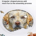 BAOPAI 7.4 Inch Acrylic Puzzle Suncatcher Window Hanging - DIY Garden ...