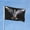Pigeon, variant on Cool Black Horse Garden Flags for Outside 3x5 Ft Double Sided Large House Flag Dark Horses Flags Housewarming Gifts for Women Men Horse Lovers Yard Outdoor Patio Decor
