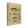 thumbnail image 2 of Trademark Fine Art 'Pisces Composition II' Canvas Art by Vision Studio, 2 of 4
