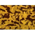 thumbnail image 1 of Ahgly Company Indoor Rectangle Oriental Yellow Modern Area Rugs, 4' x 6', 1 of 4