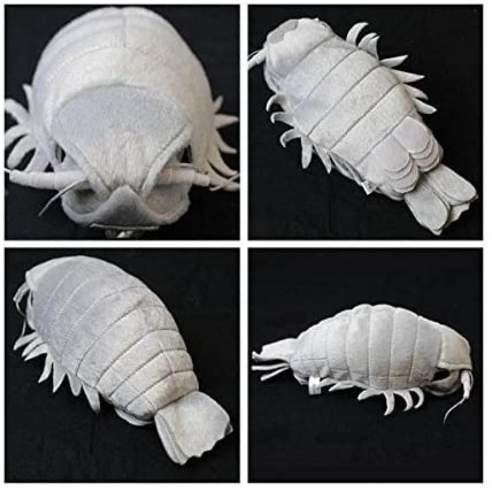 COLORATA Plush toy animal family Giant Isopod 24 × 16 × 48cm F/S 