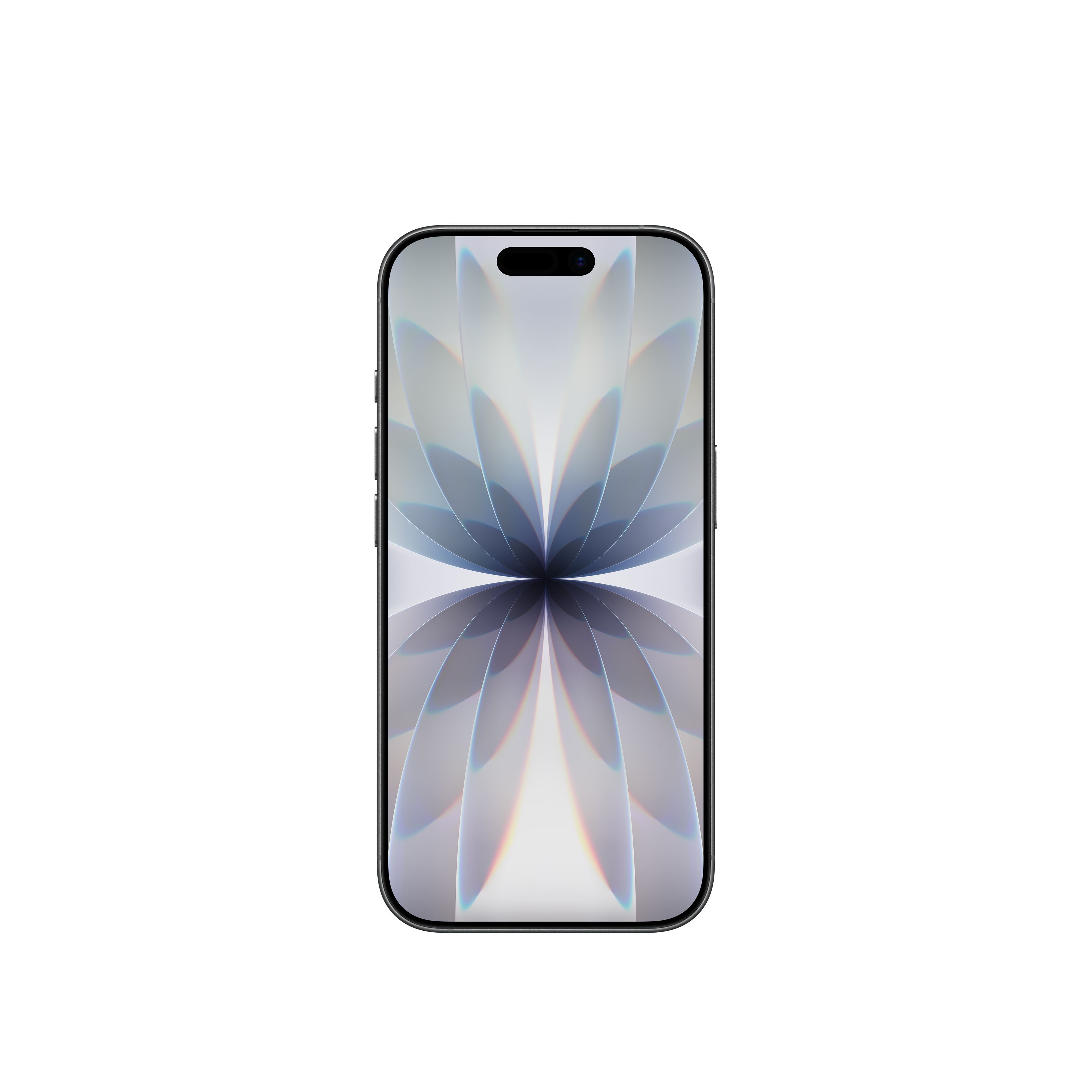 Verizon iPhone 17 512GB Black